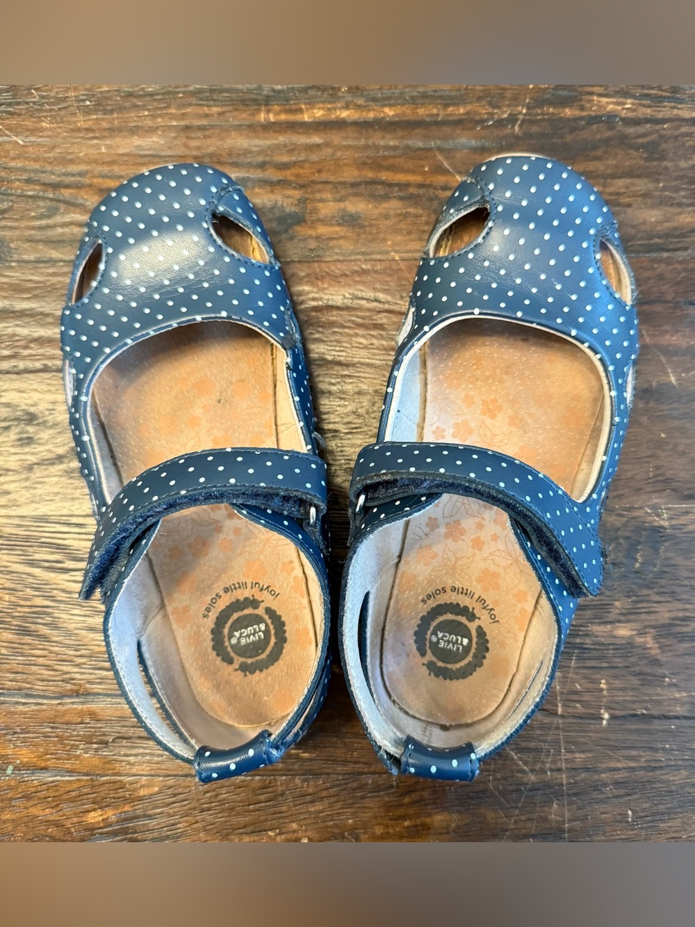Livie & Luca Blue Polka Dot Mary Janes 2Y